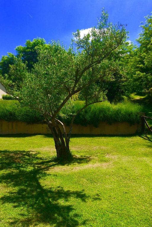 Agriturismo Acero Rosso Civitella di Romagna 외부 사진